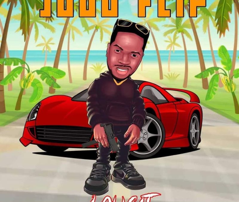 Lougit – Judo Flip